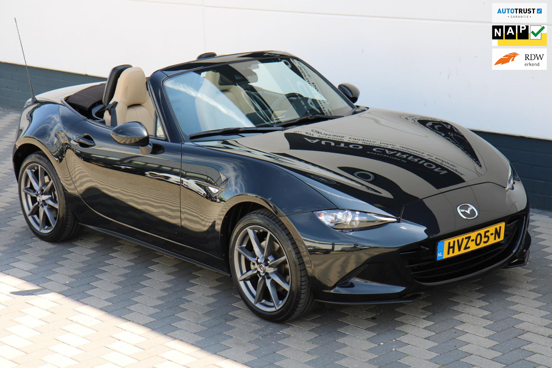 45846942-87.jpg