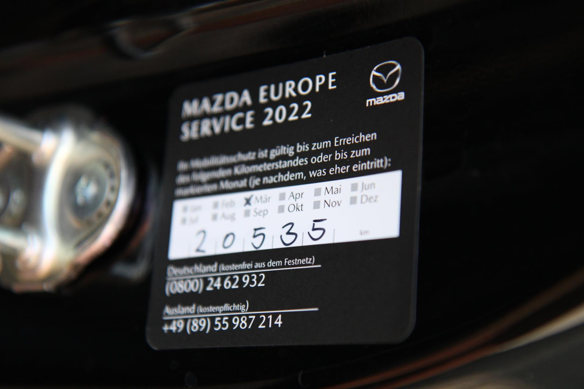 46173405-66.jpg