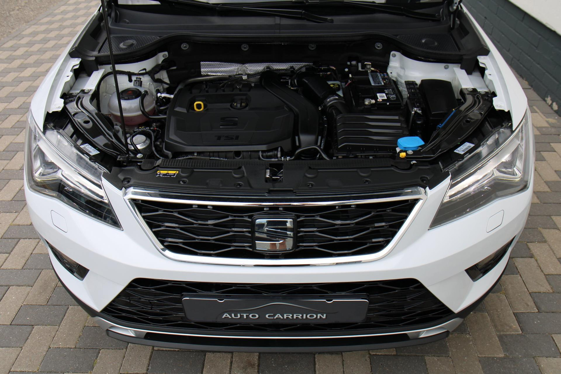 46173860-53.jpg