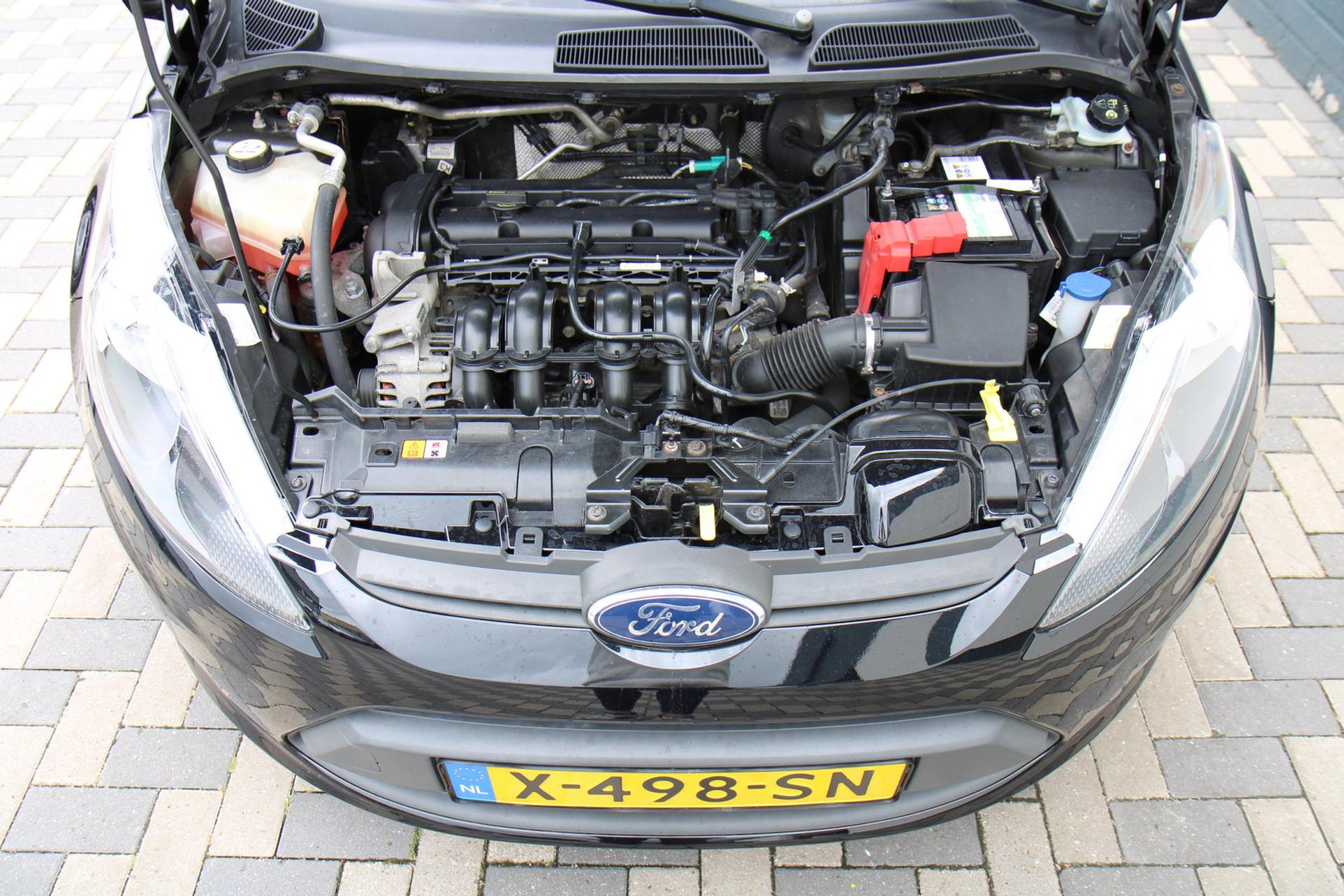46222090-28.jpg