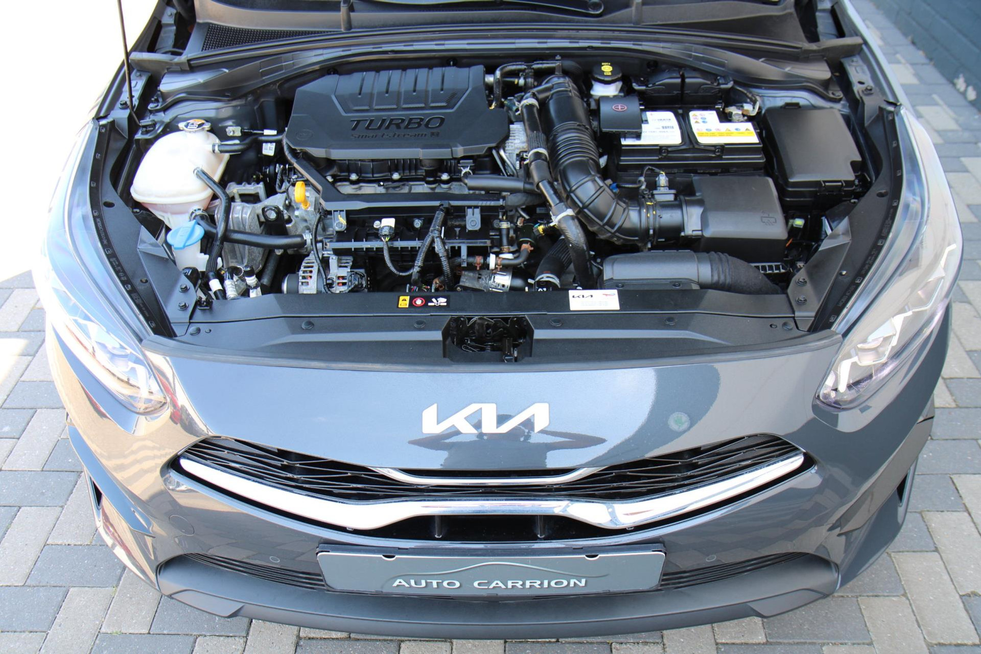 46456618-59.jpg