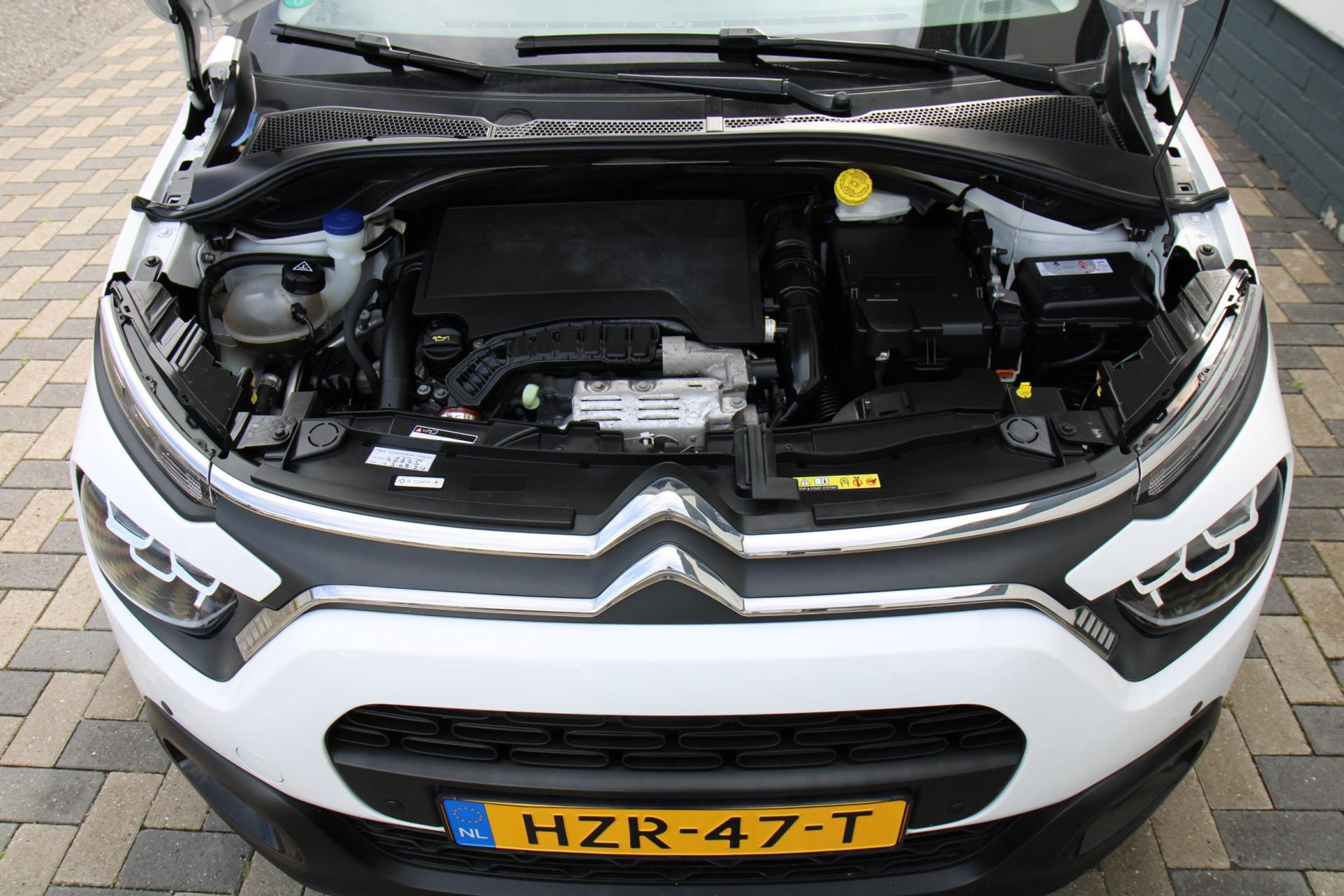 46491644-33.jpg
