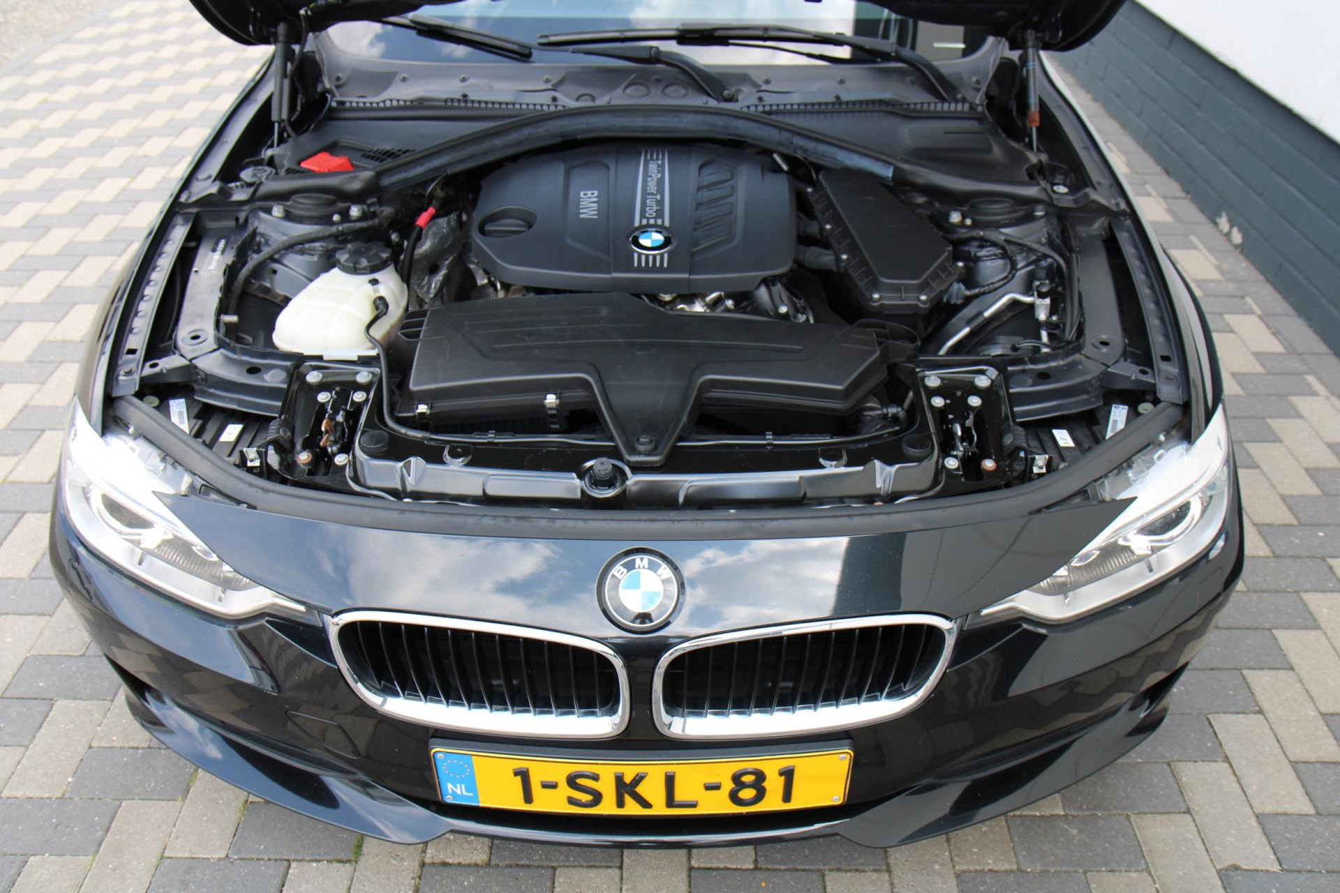 46567744-57.jpg