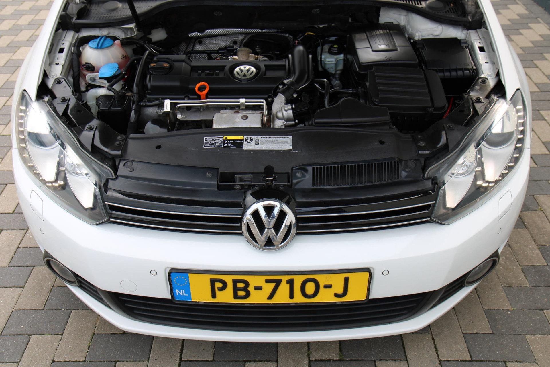 46743573-48.jpg