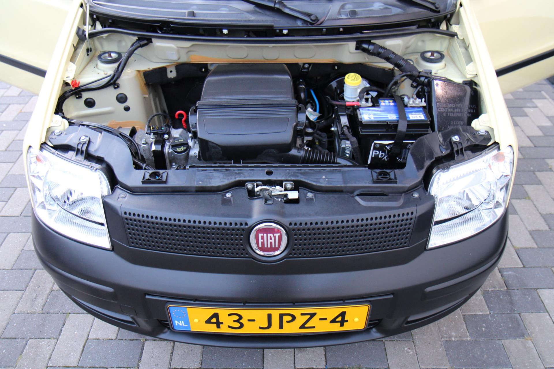 46947949-17.jpg