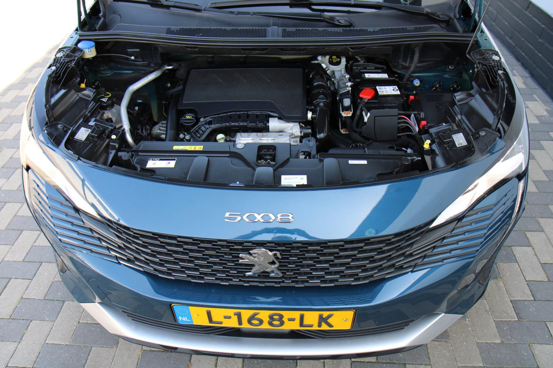 46957229-56.jpg