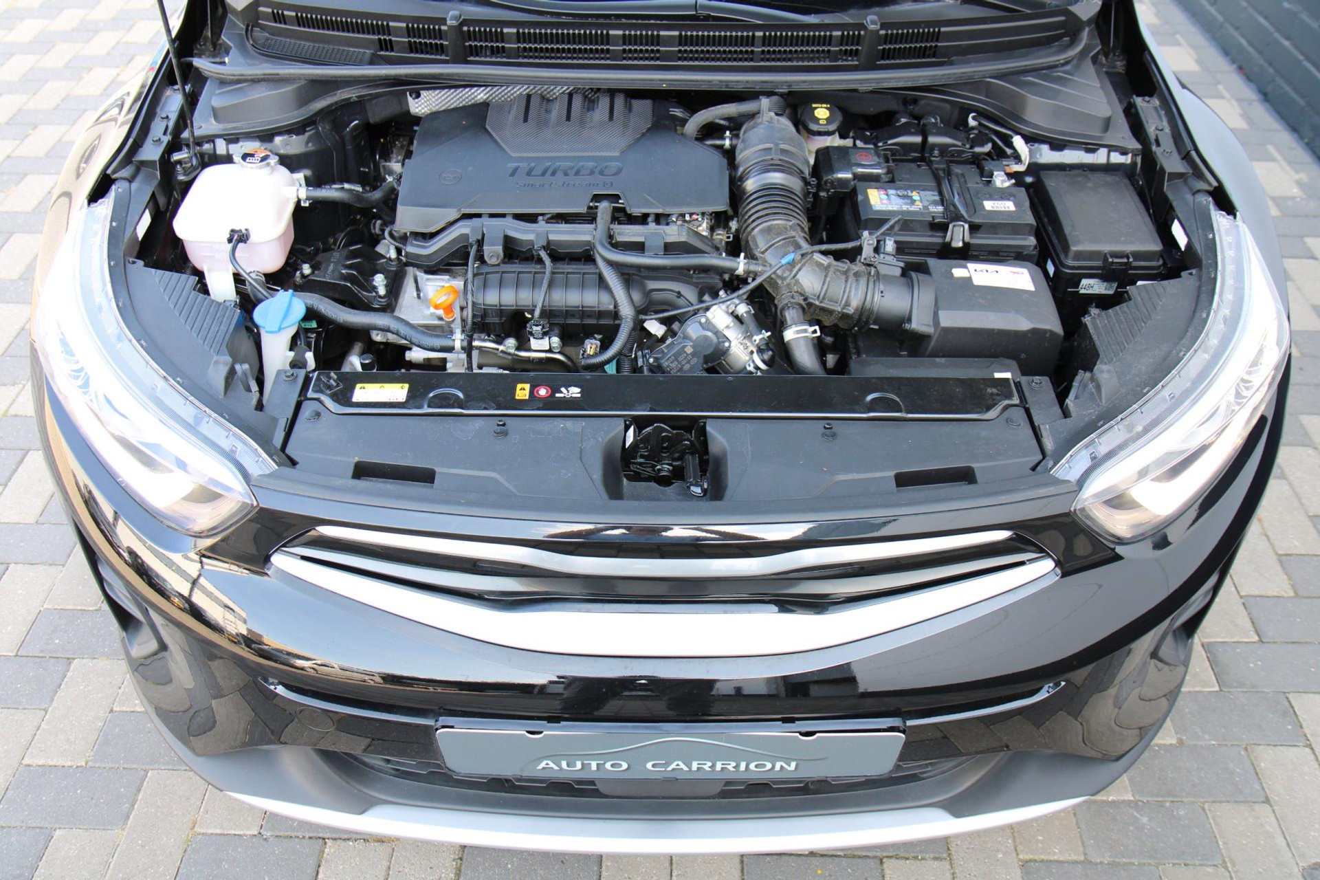47098517-38.jpg