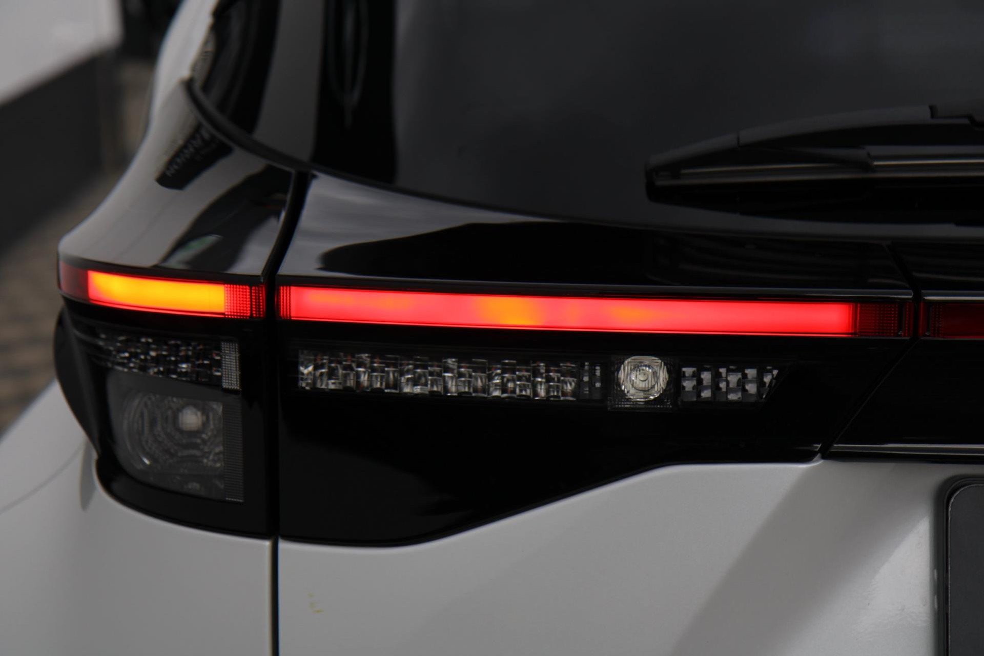 47147956-46.jpg