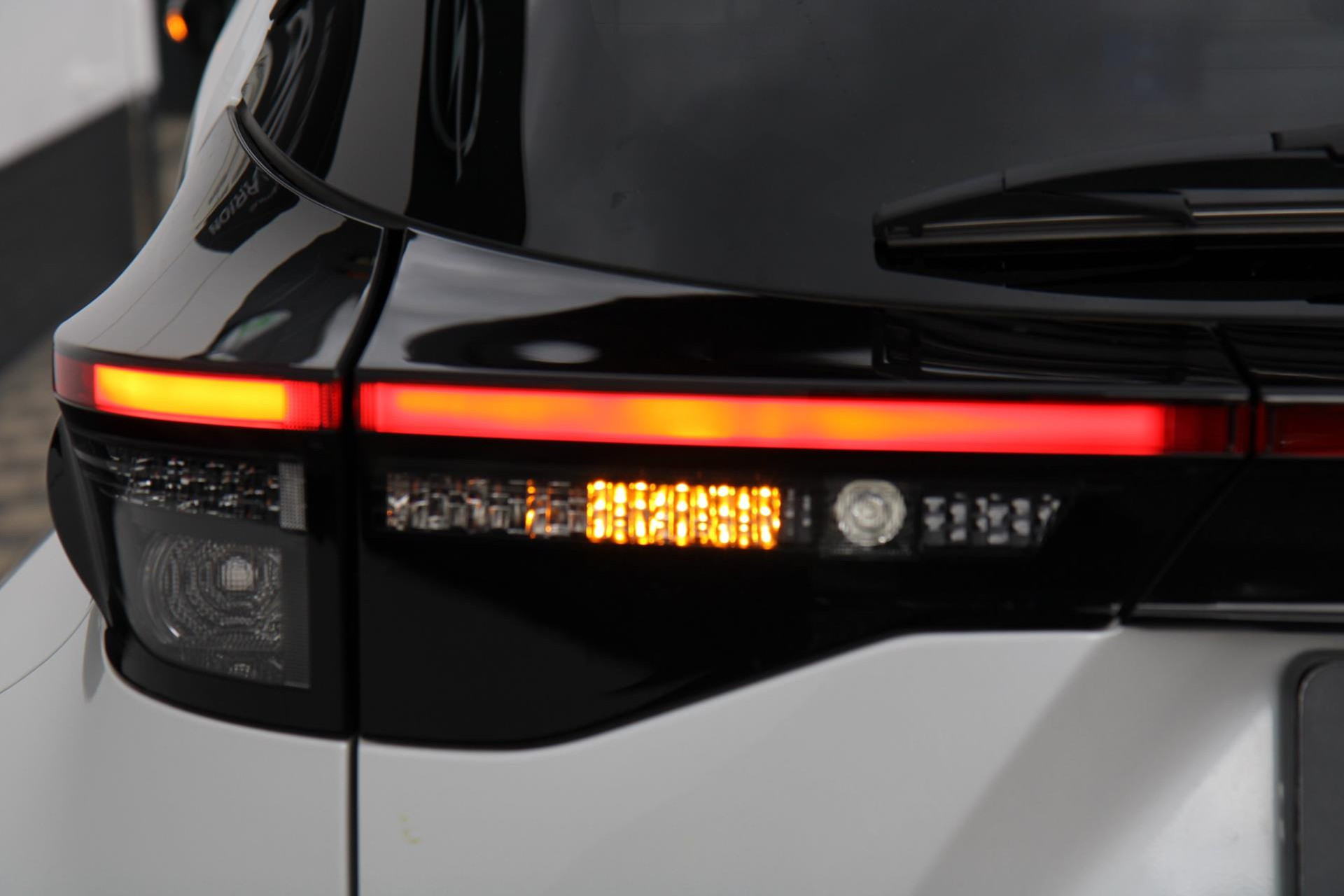 47147956-47.jpg
