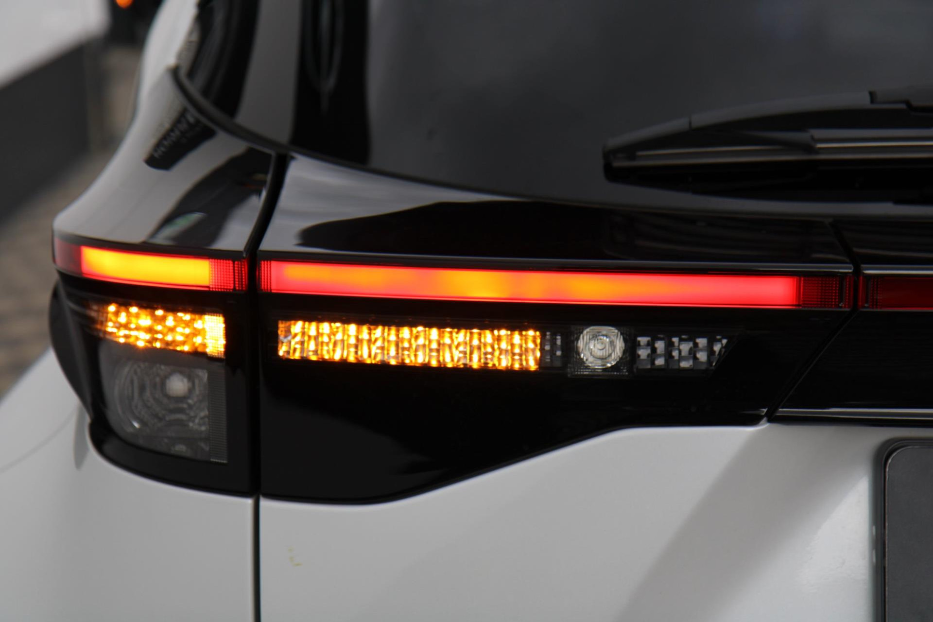 47147956-48.jpg