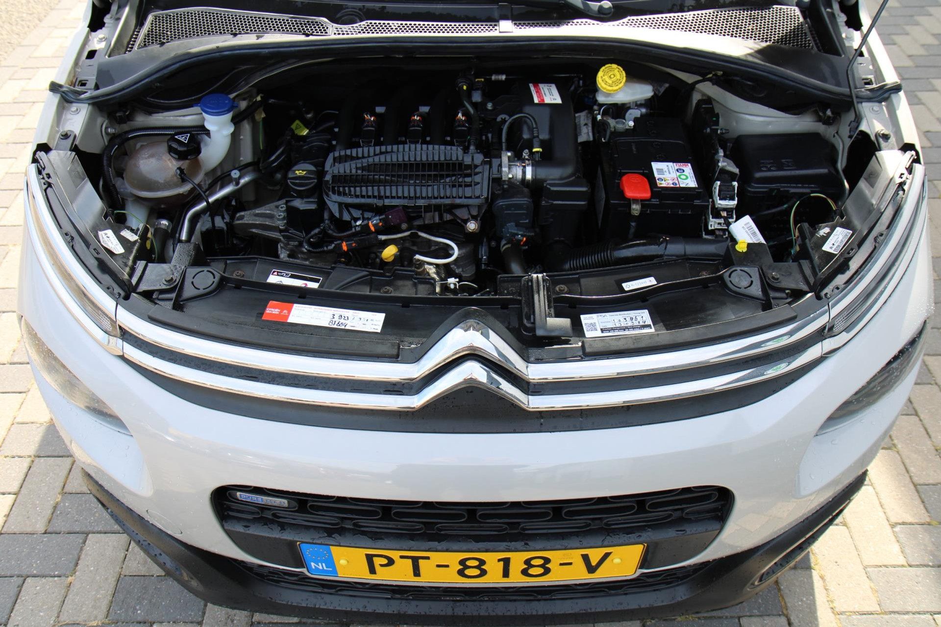47195444-37.jpg