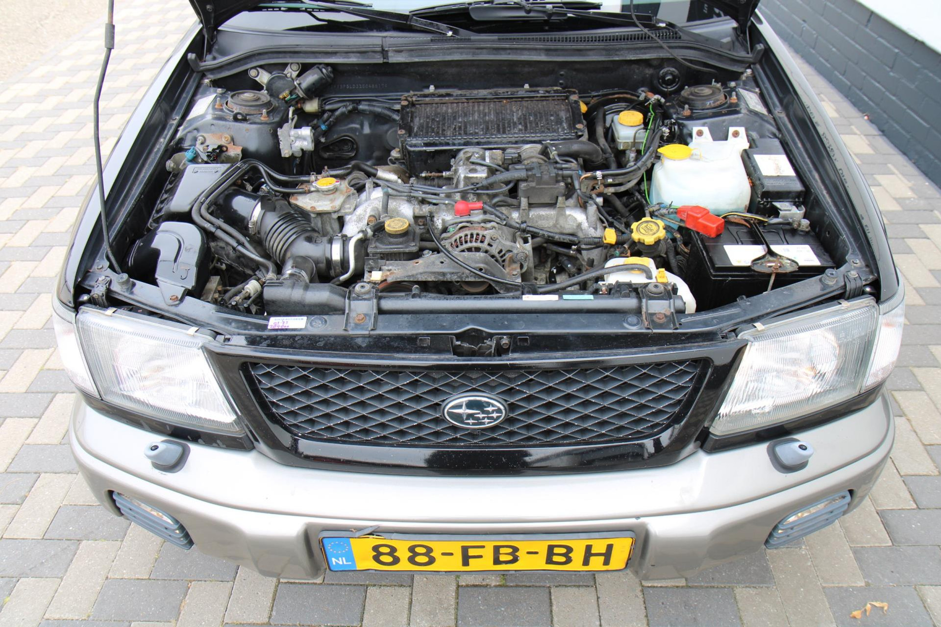 47205810-23.jpg
