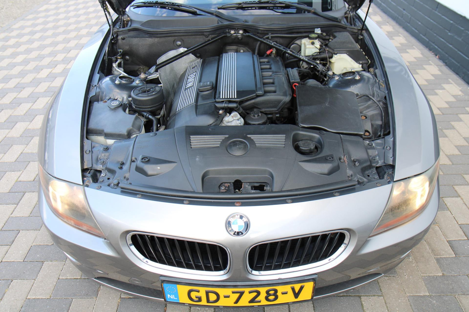 47332727-33.jpg