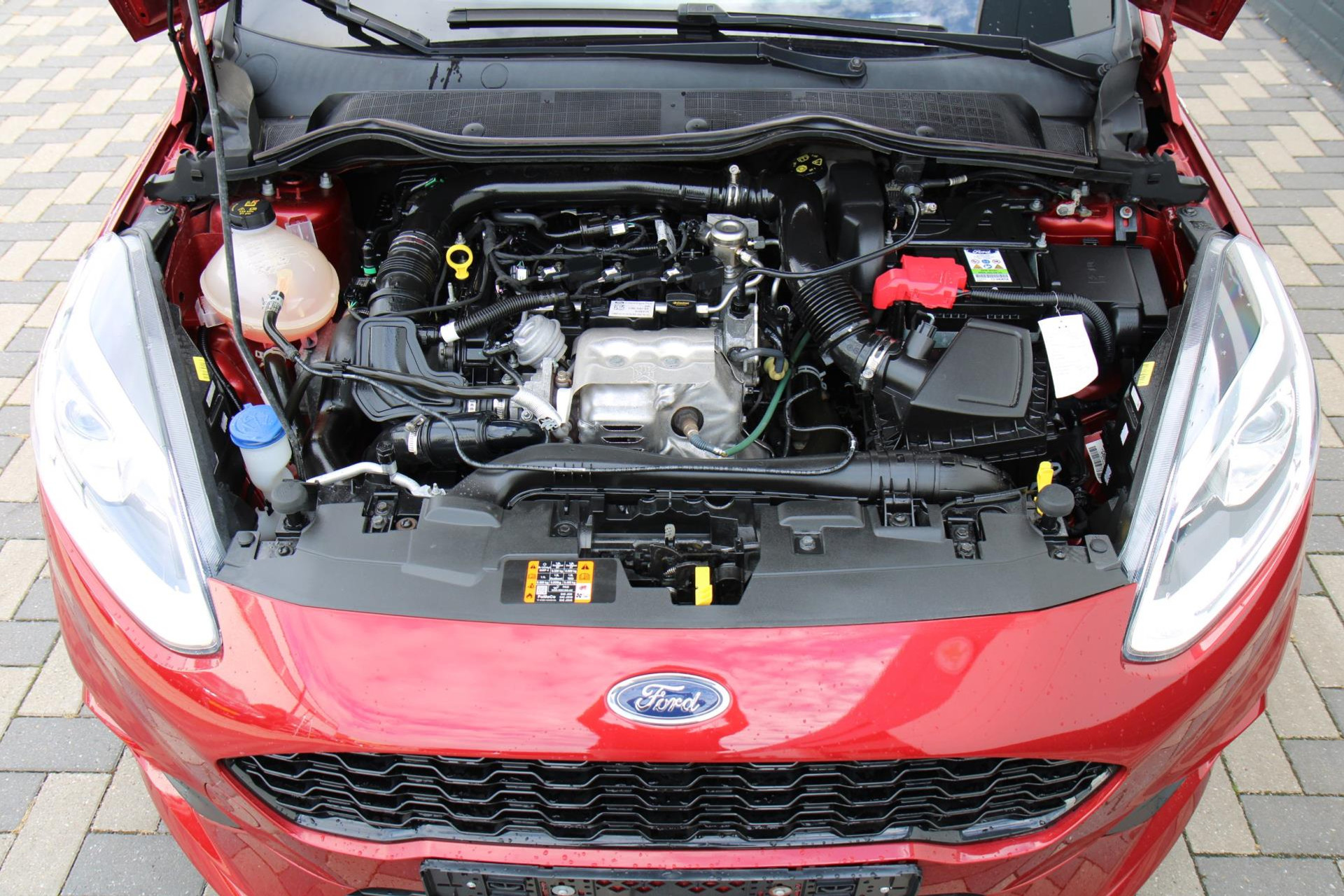 47494027-46.jpg