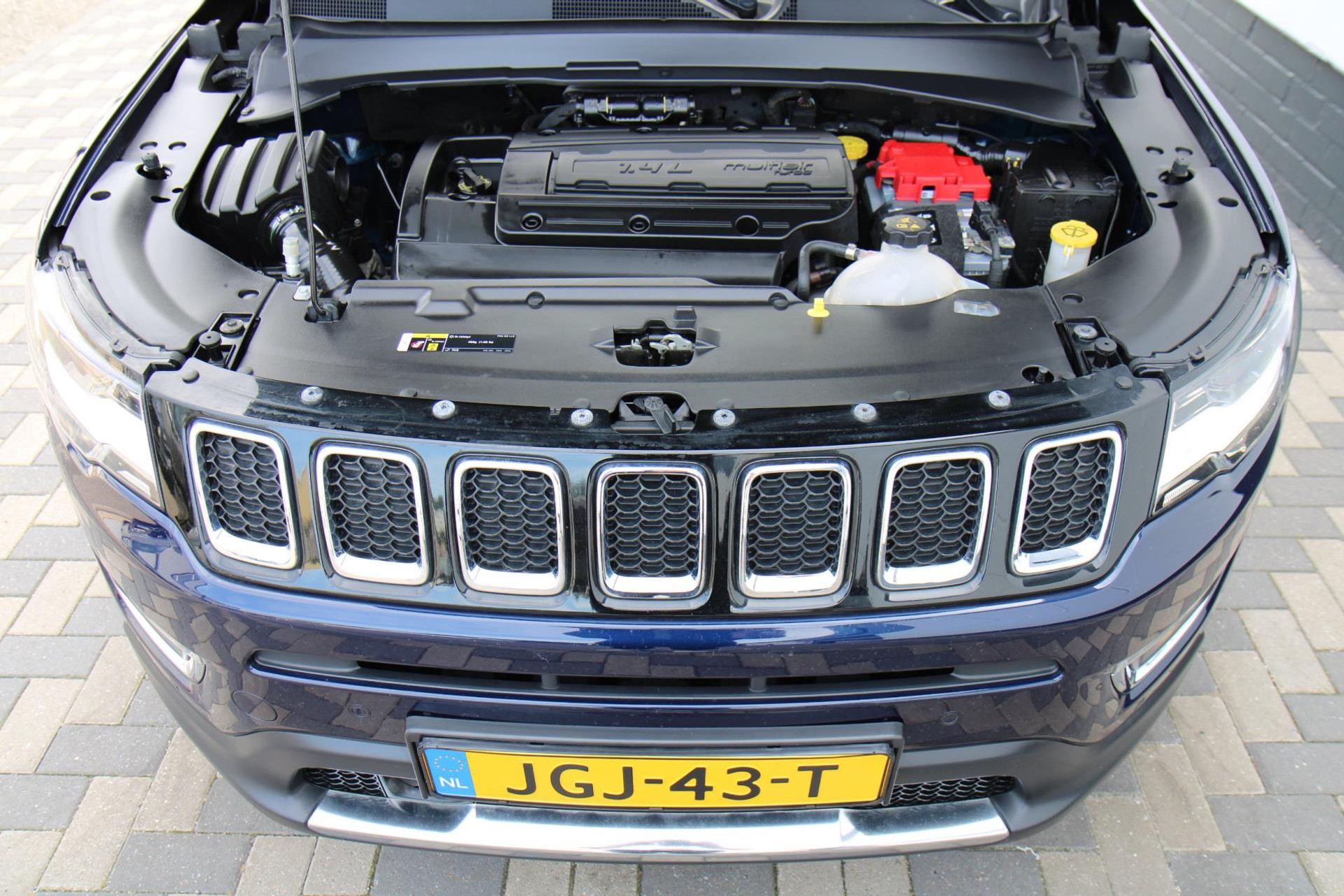47494123-42.jpg