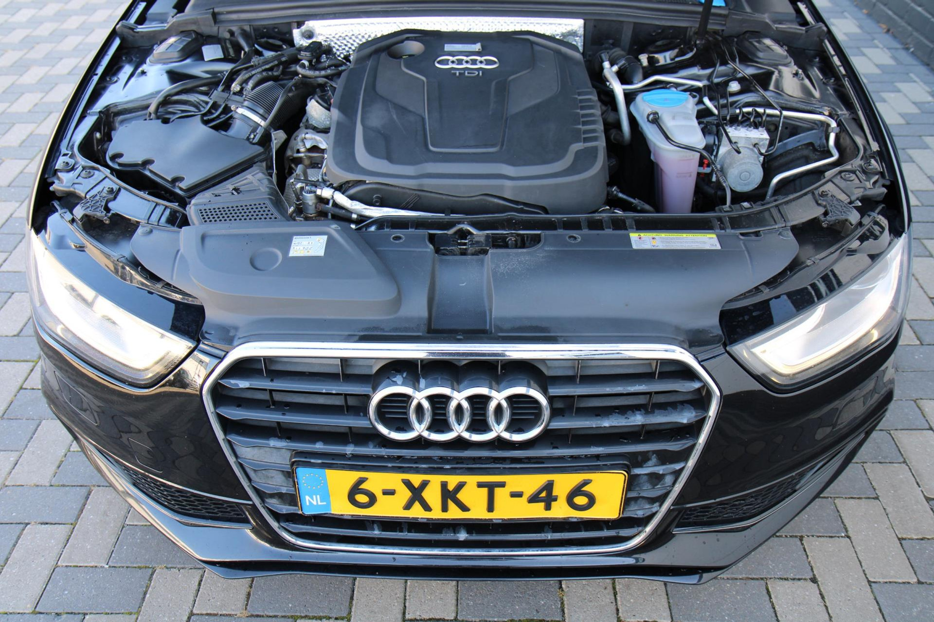47494149-32.jpg