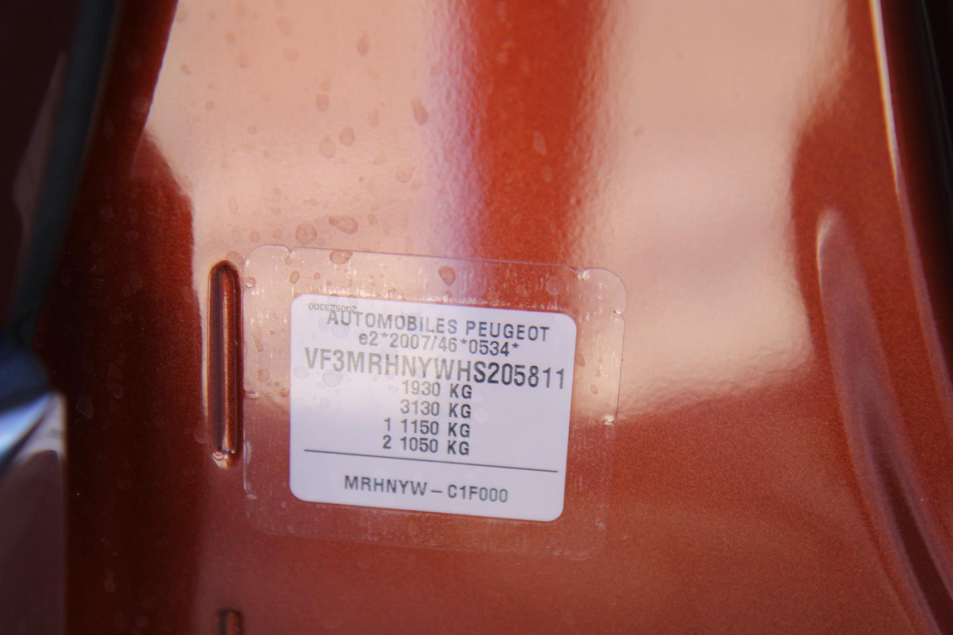 47509056-52.jpg