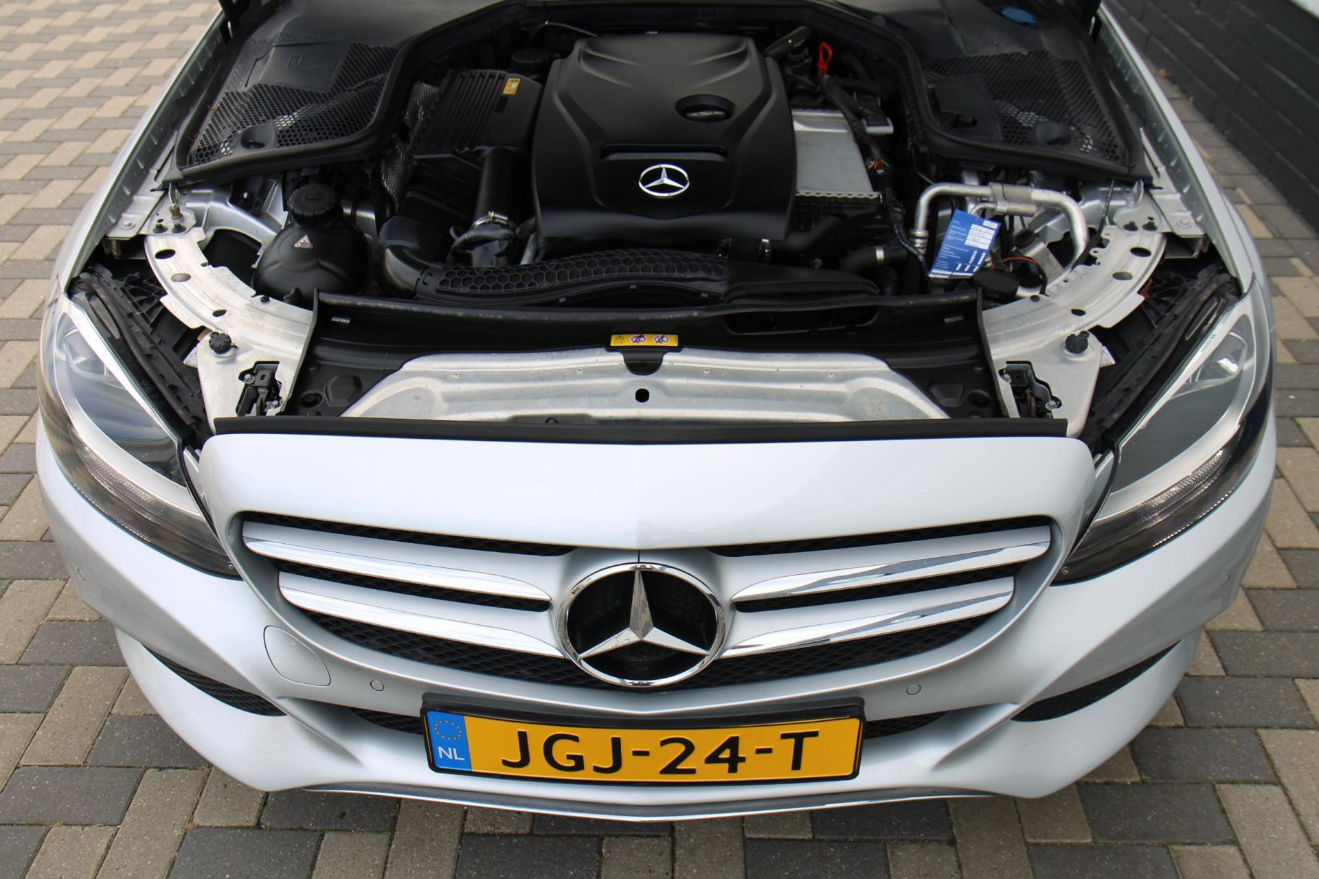 47540295-45.jpg