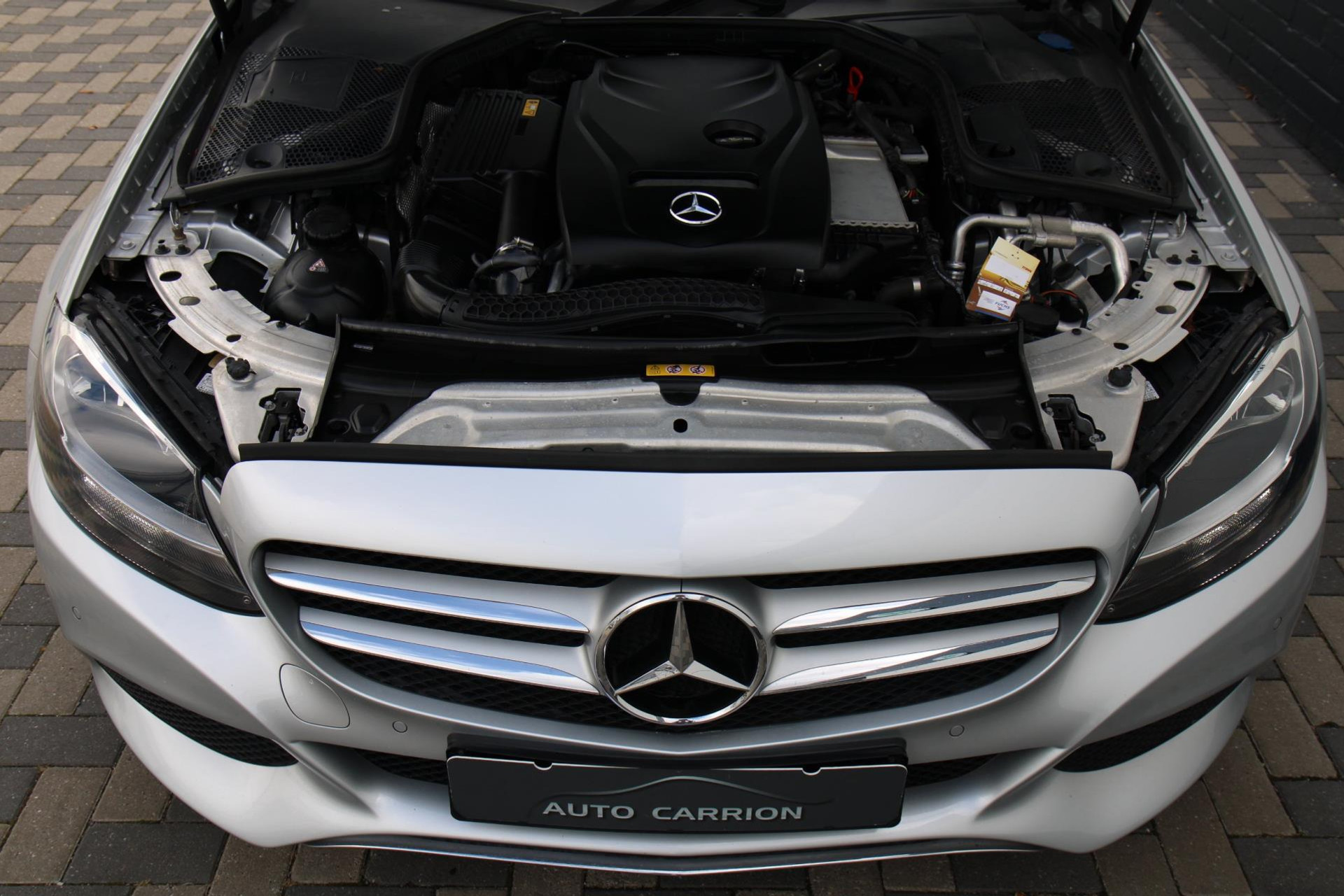 47540295-46.jpg