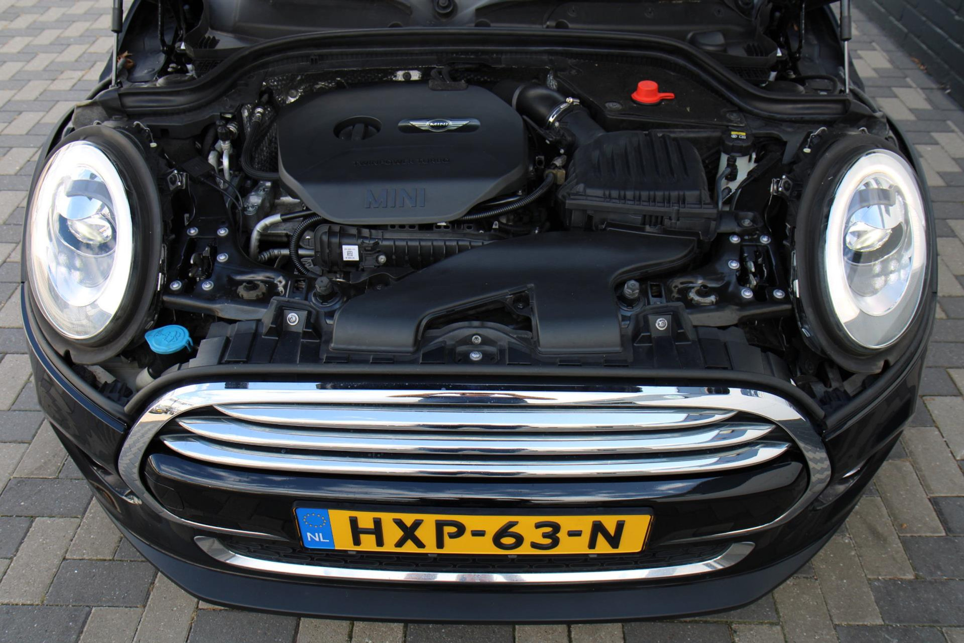 47574175-42.jpg
