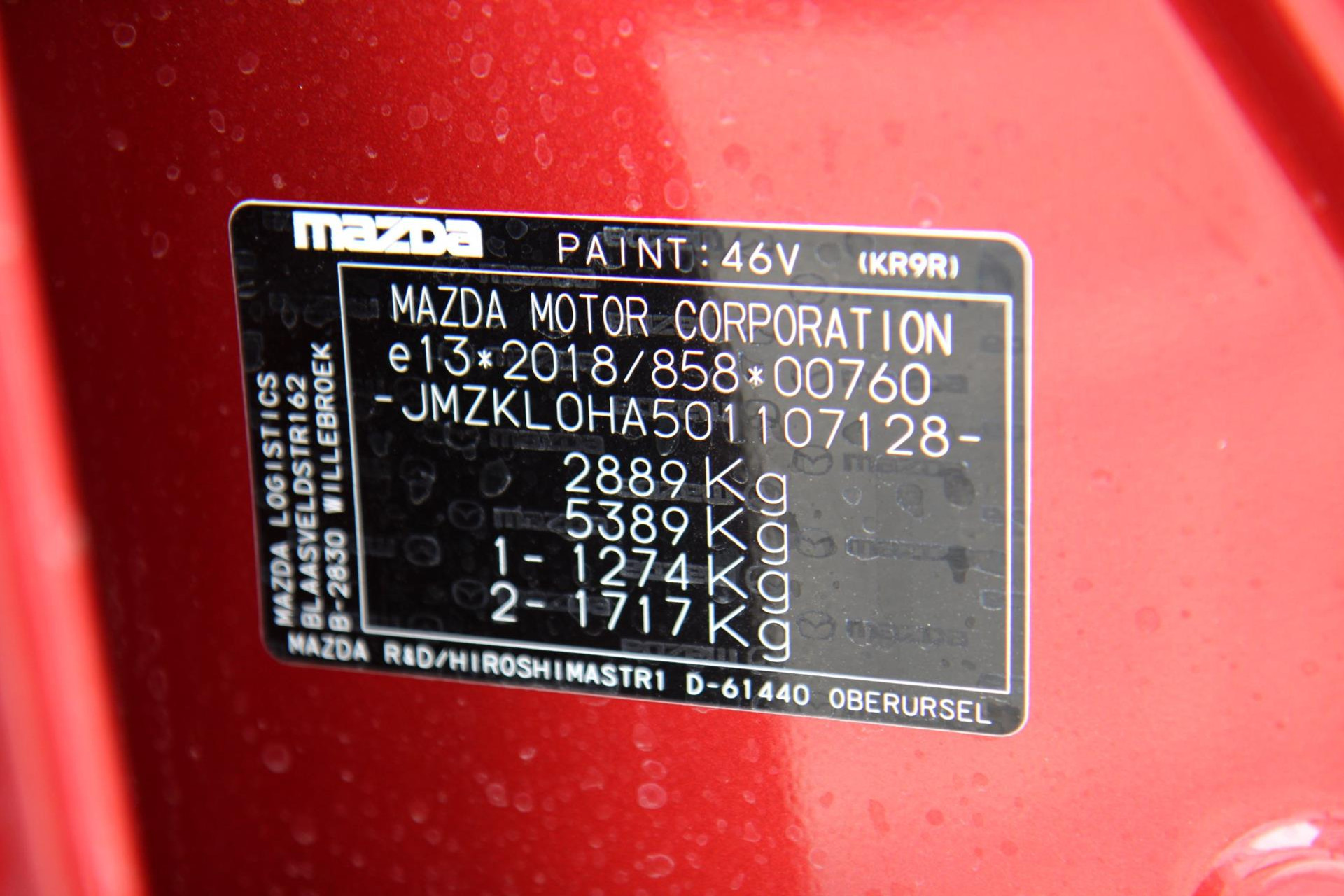 47755846-55.jpg