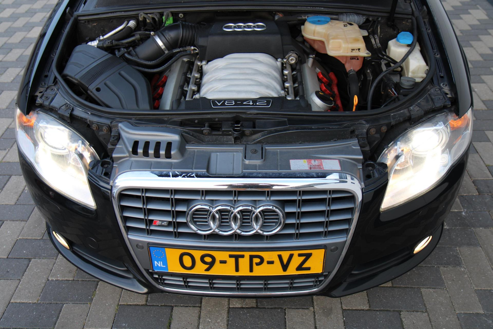 47767946-35.jpg