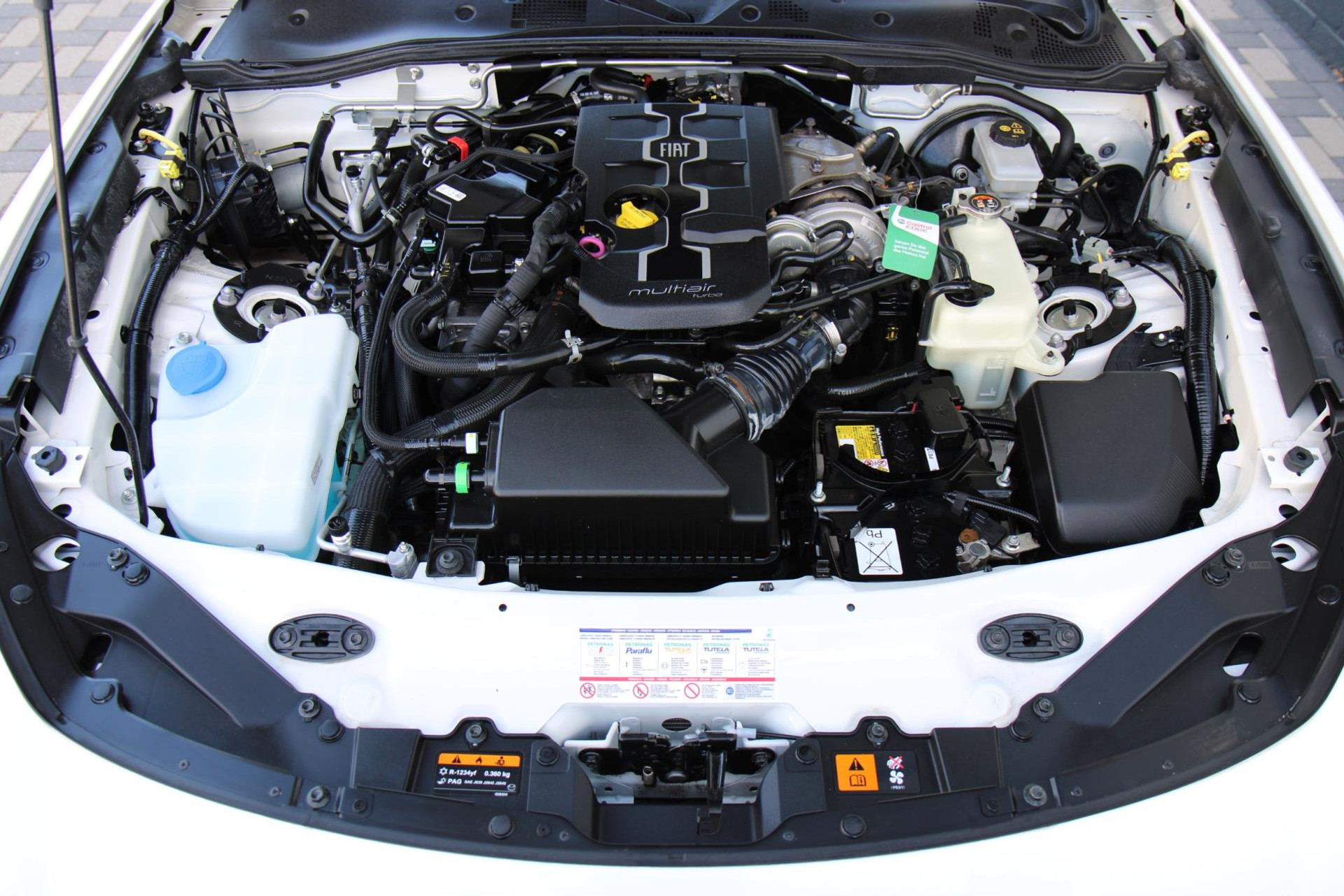 47768845-55.jpg