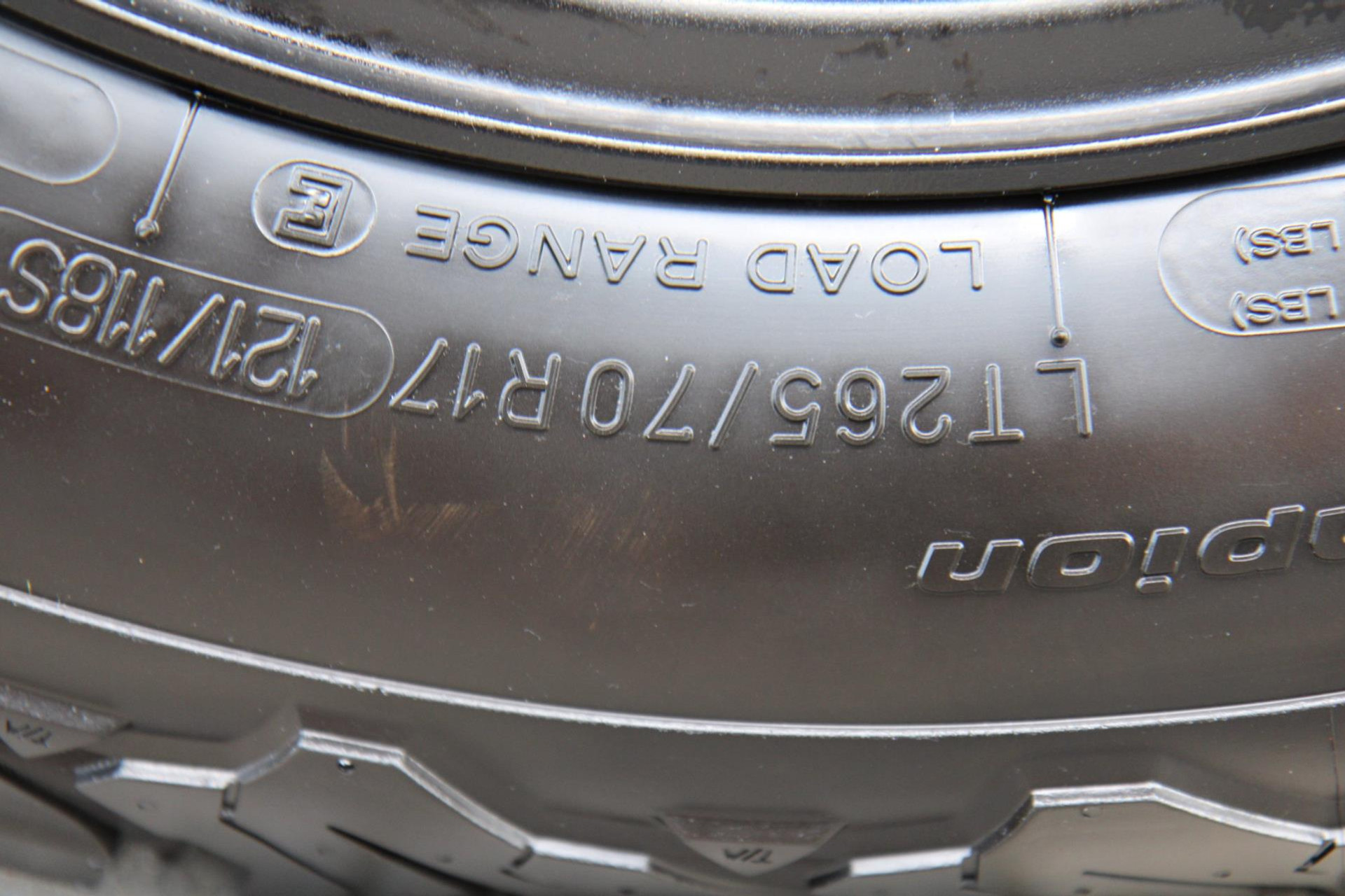 47781802-62.jpg