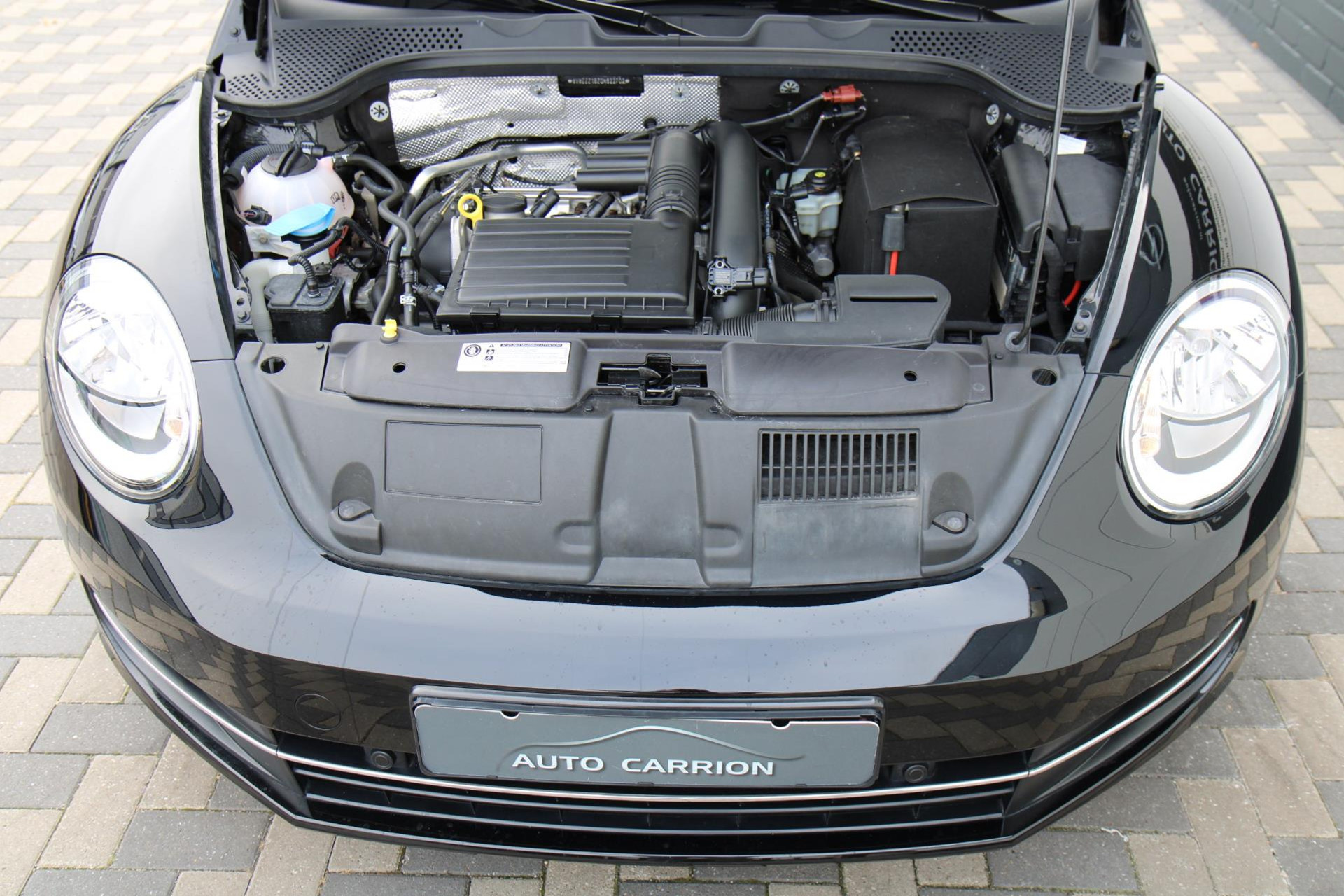 47950758-43.jpg