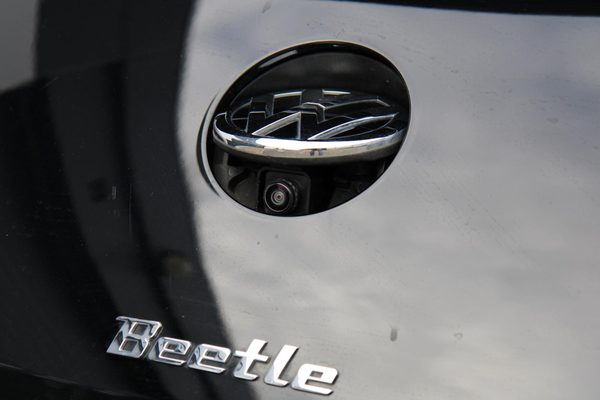 47950758-56.jpg