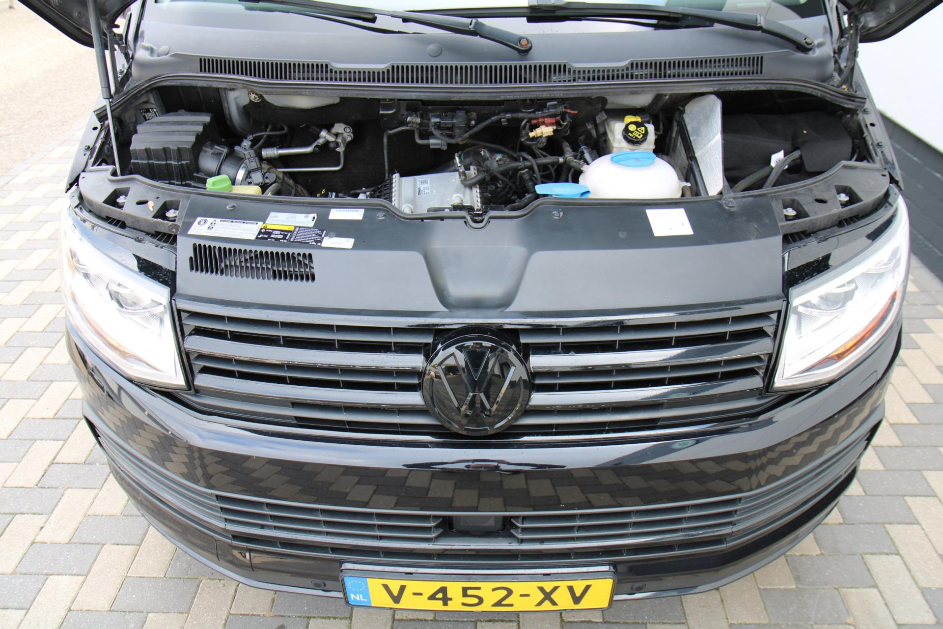 47950764-28.jpg