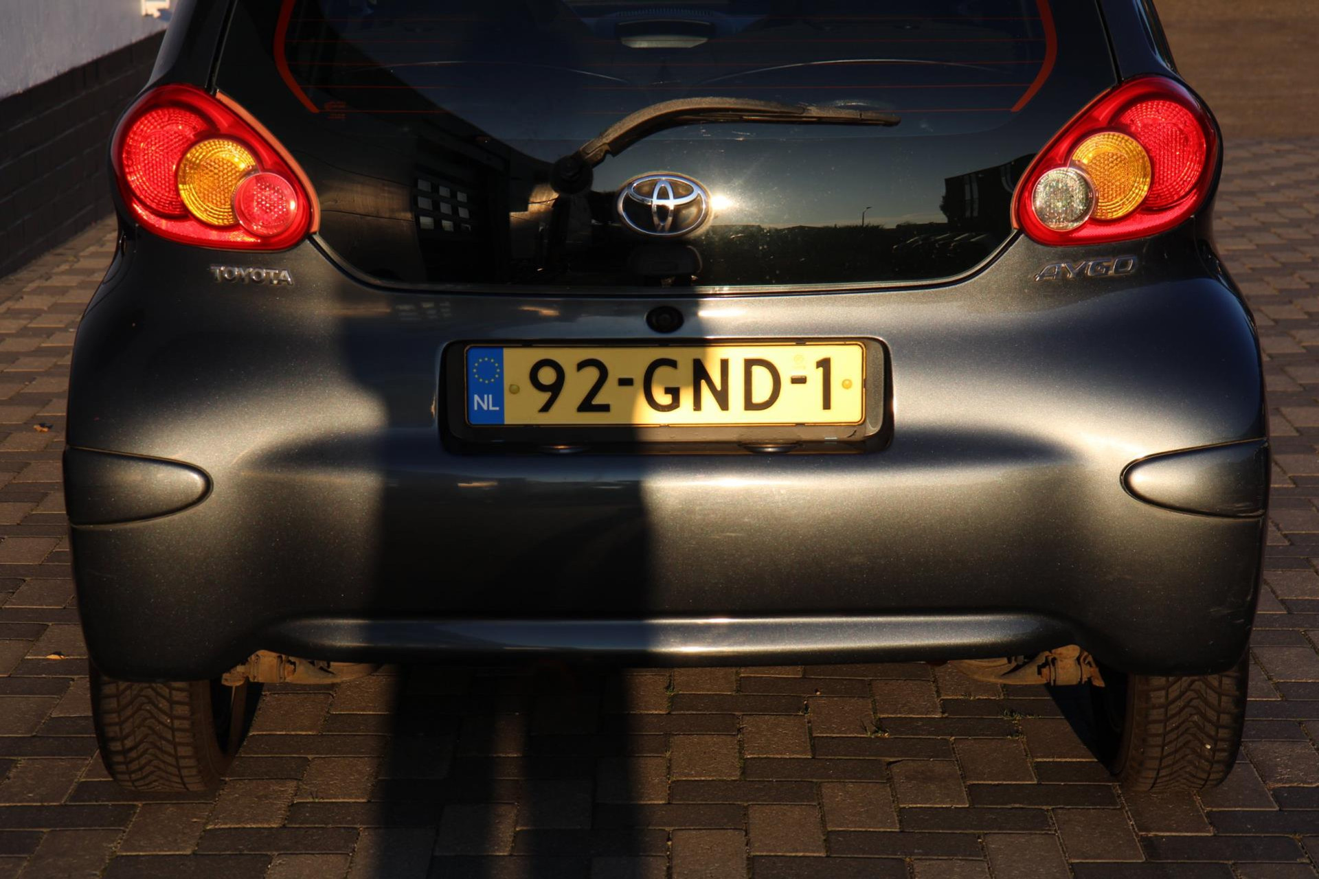 47950781-26.jpg