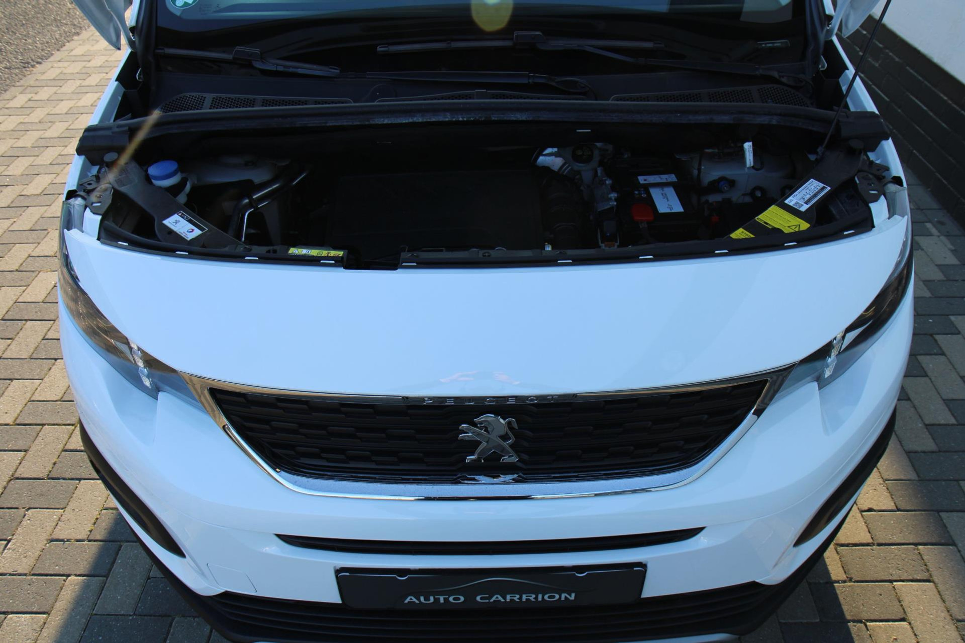 47950791-43.jpg