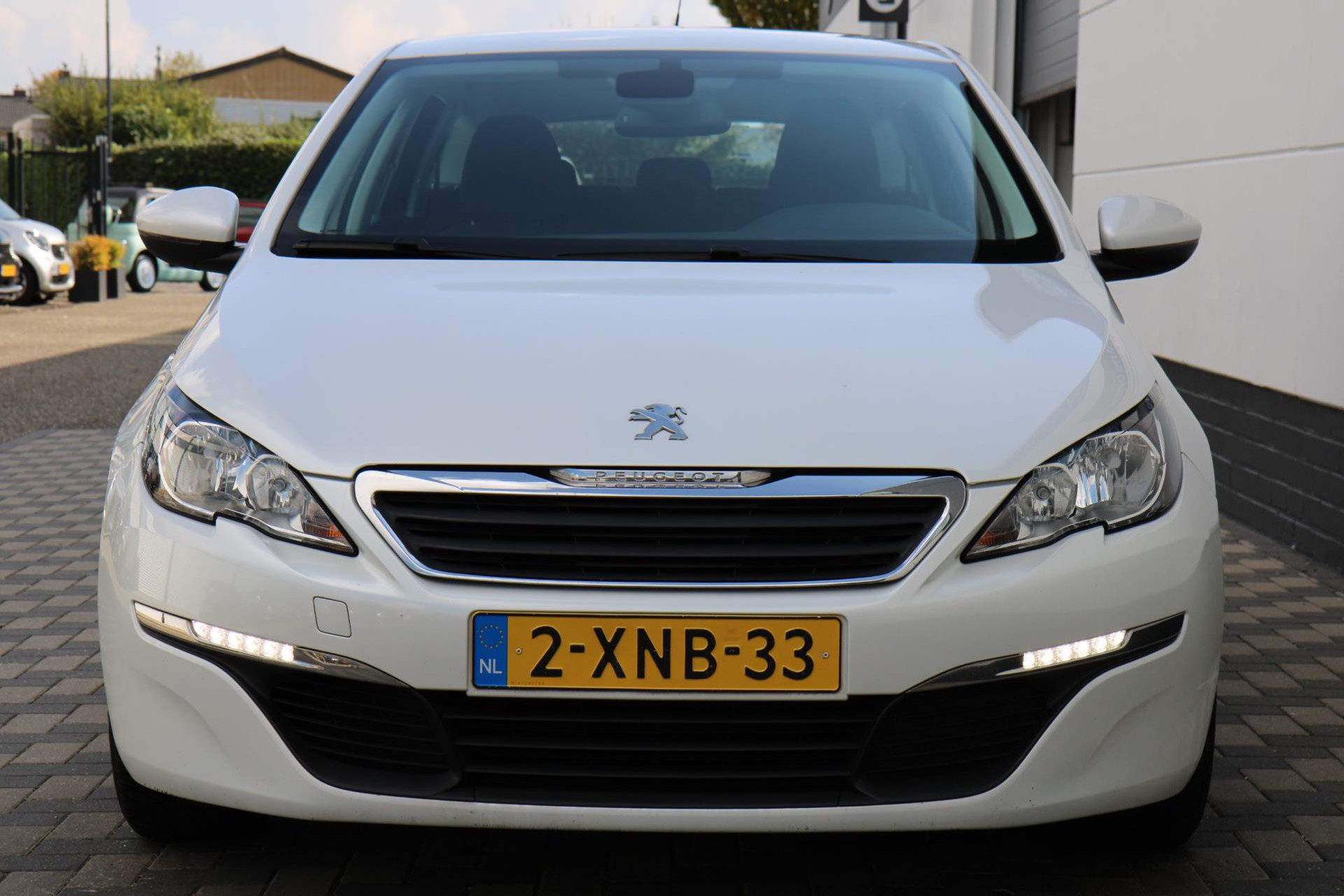 47995466-31.jpg