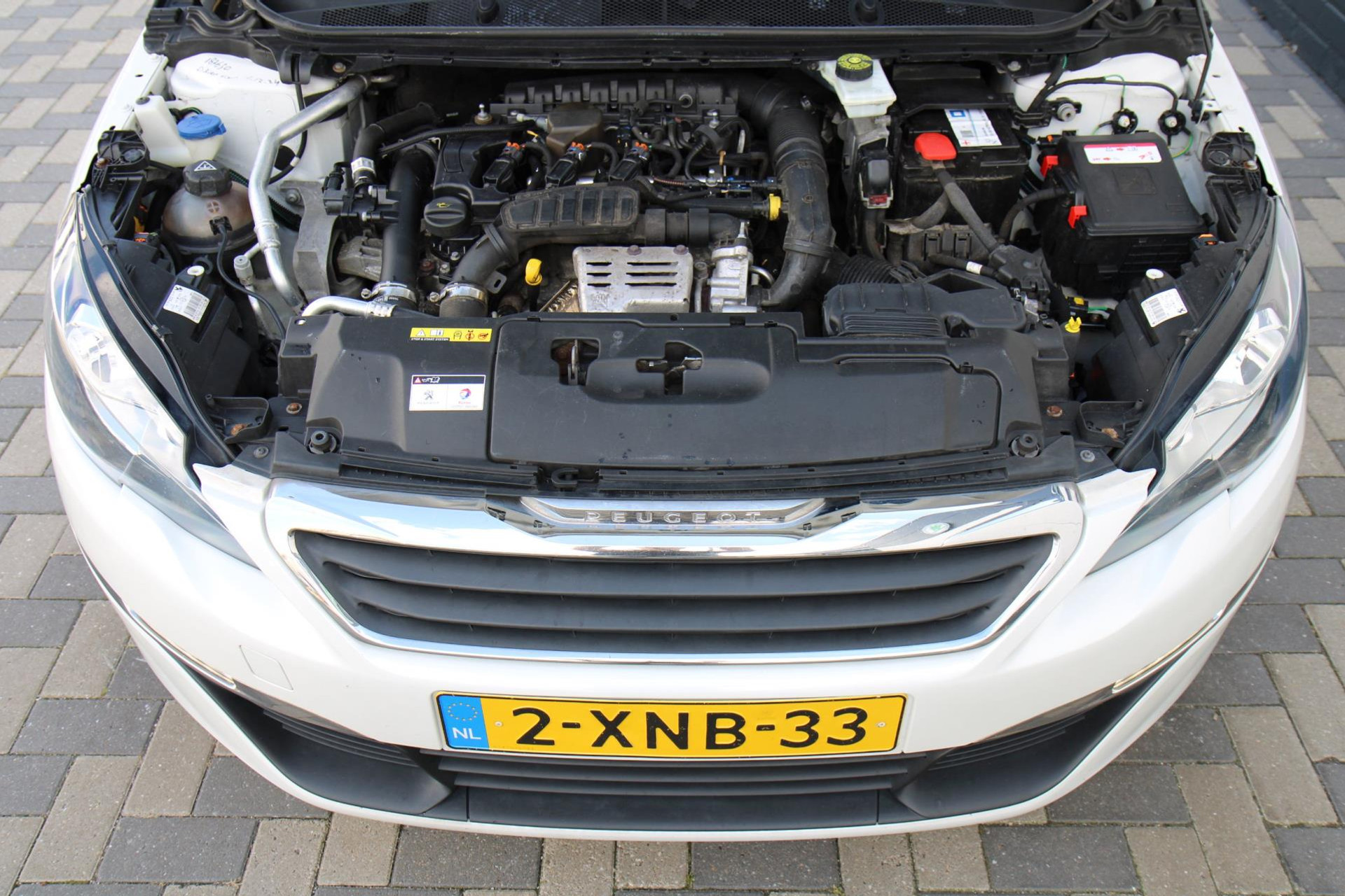 47995466-33.jpg