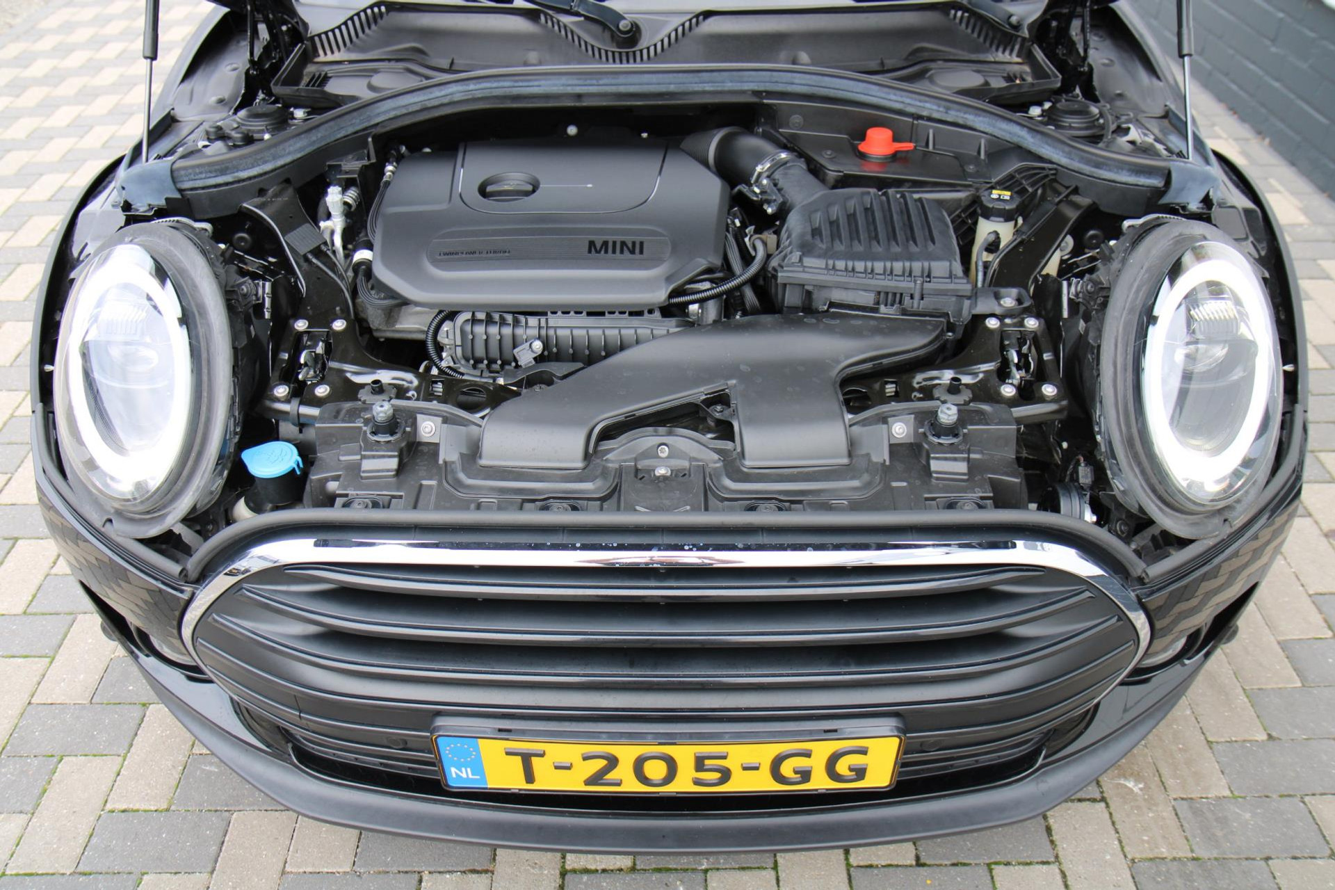 48236163-44.jpg
