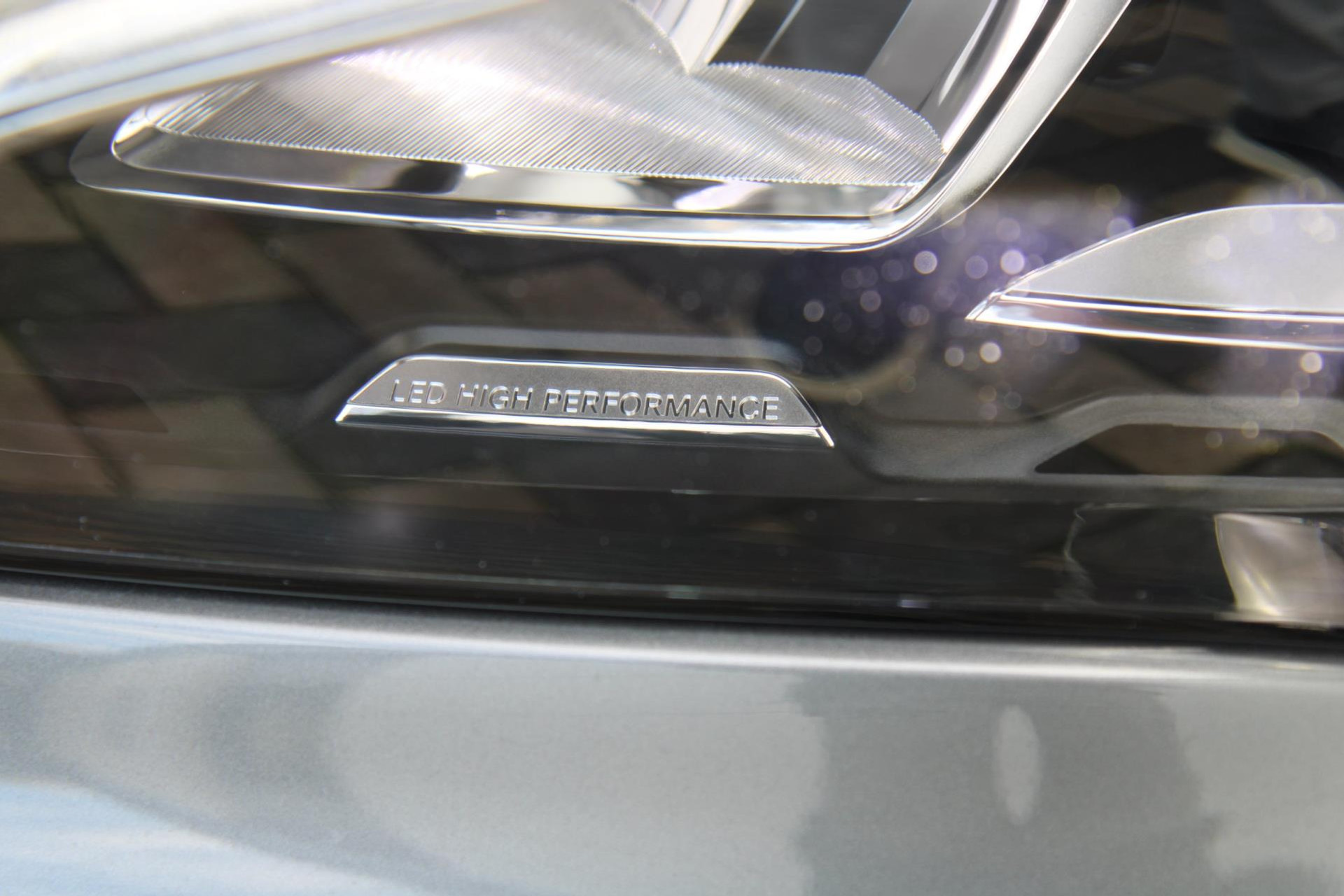 48530933-39.jpg