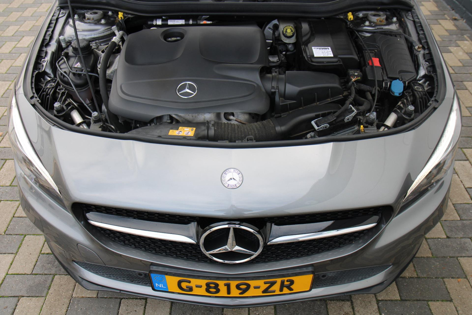 48530933-40.jpg