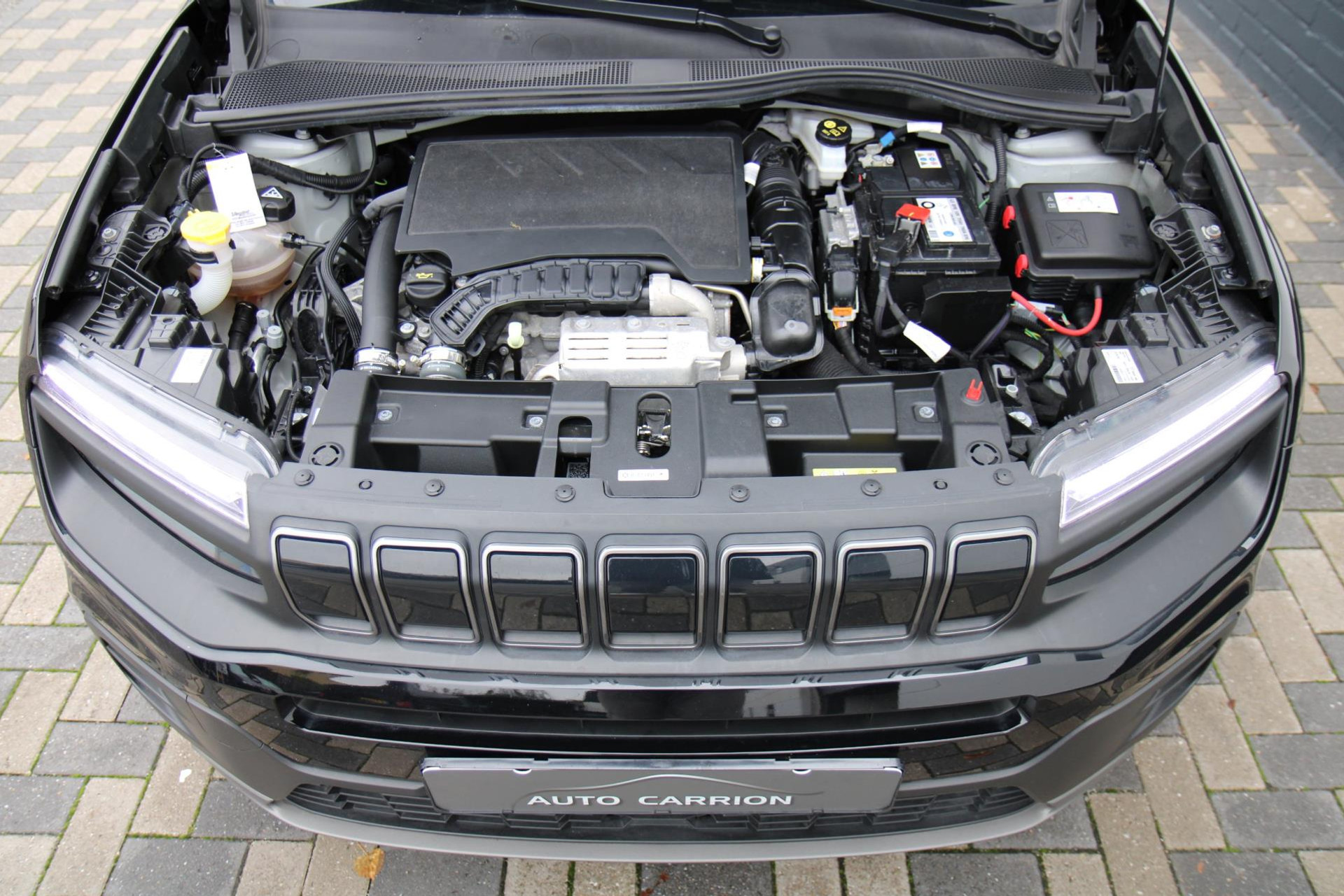 48634870-36.jpg