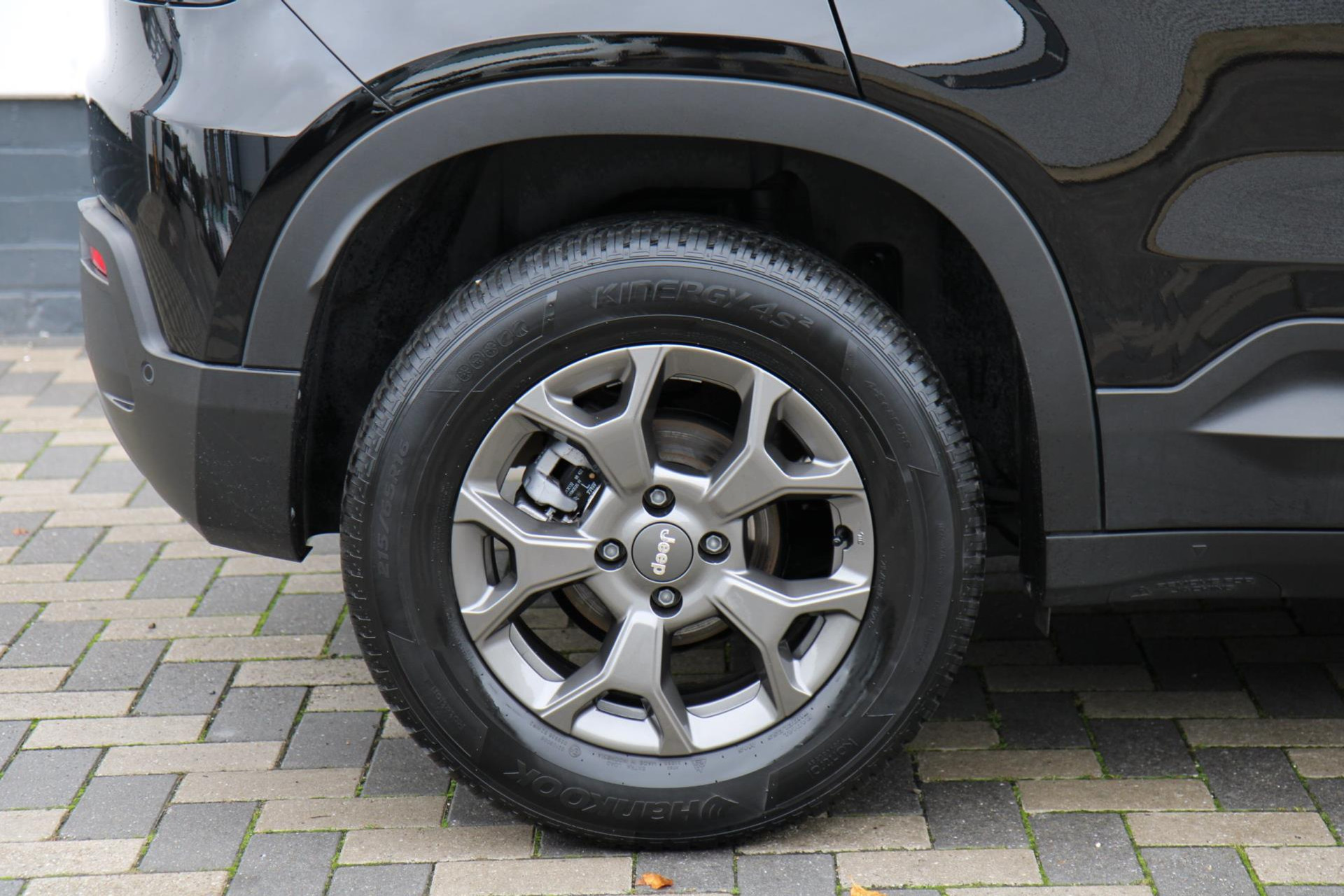 48634870-46.jpg