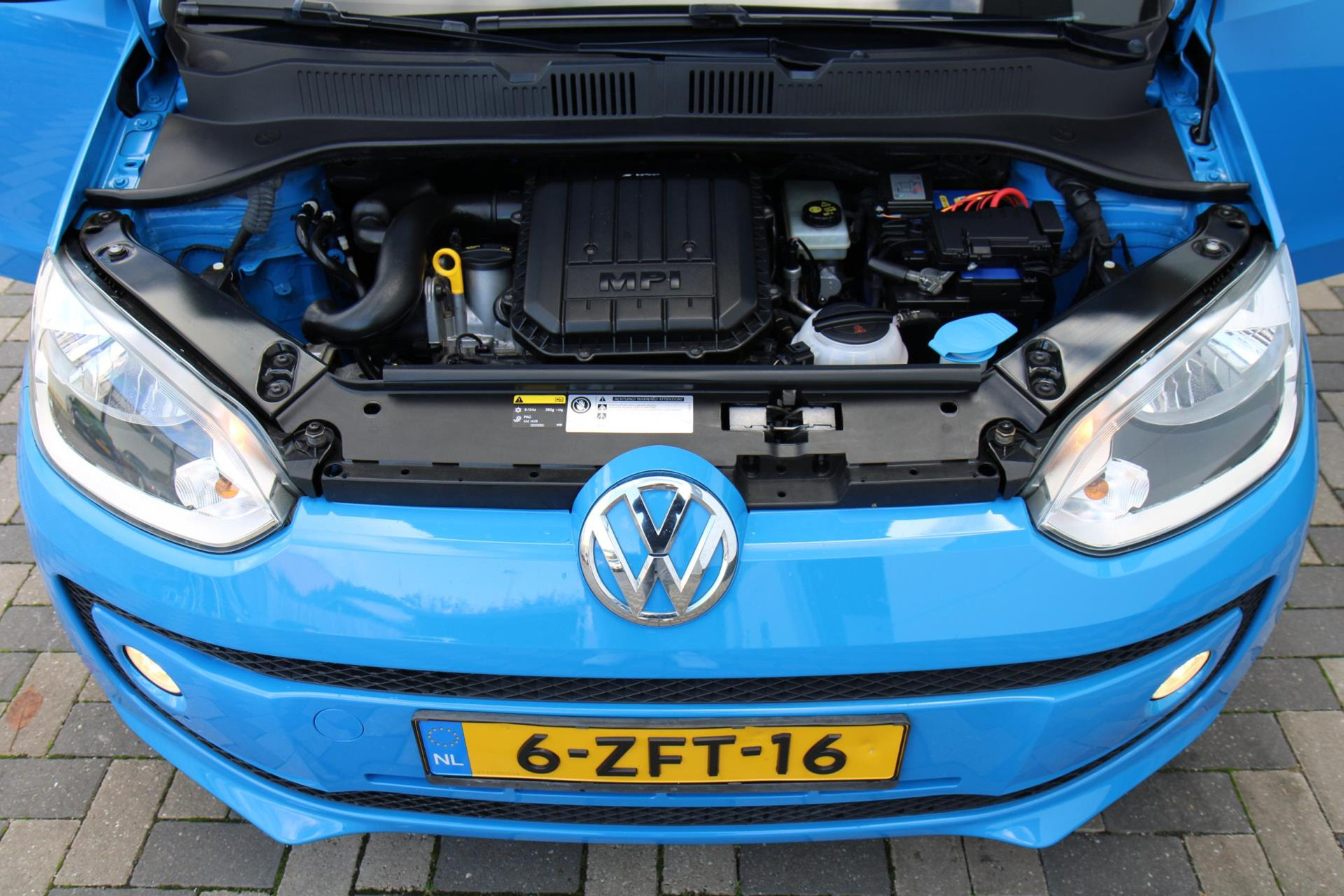 48649298-22.jpg