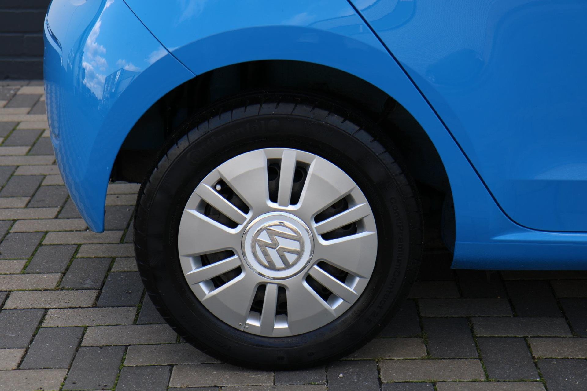 48649298-47.jpg