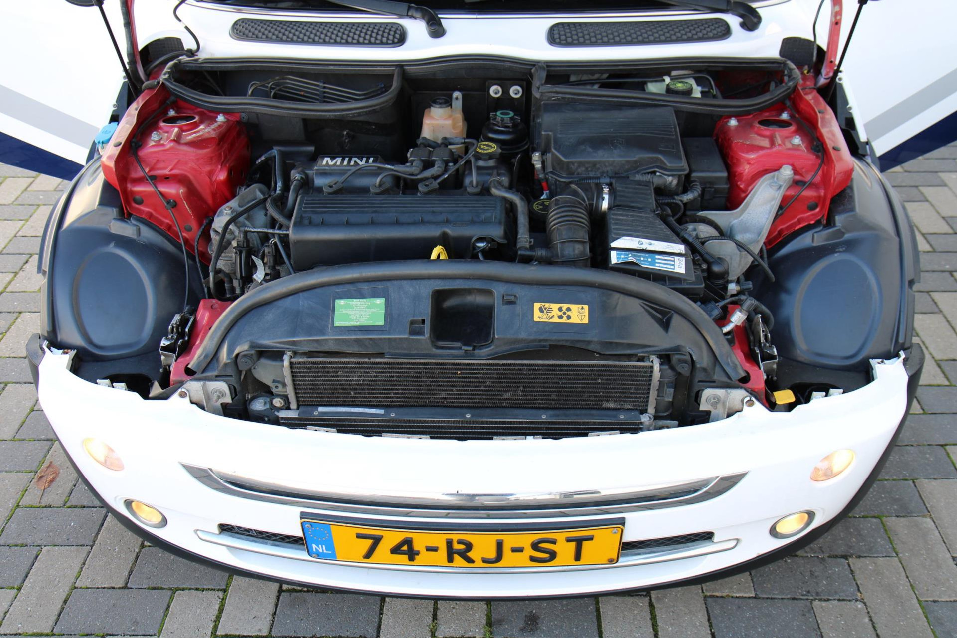 48651861-26.jpg